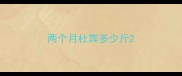 两个月杜宾多少斤