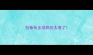 拉布拉多成熟的太晚了