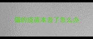 猫的疫苗本丢了怎么办