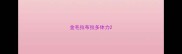 金毛拉布拉多体力