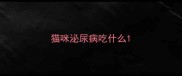 猫咪泌尿病吃什么