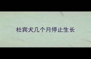 杜宾犬几个月停止生长