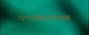10个月的边牧训练