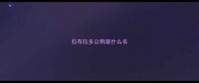 拉布拉多公狗取什么名
