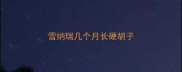 雪纳瑞几个月长硬胡子