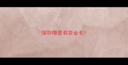 深圳哪里有卖金毛