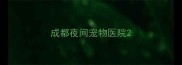 成都夜间宠物医院