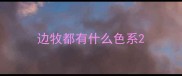 边牧都有什么色系