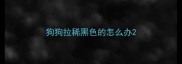 狗狗拉稀黑色的怎么办