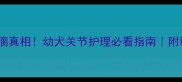 九个月大金毛腿瘸真相幼犬关节护理必看指南附科学康复全记录