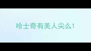 哈士奇有美人尖么