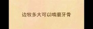 边牧多大可以啃磨牙骨