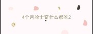 4个月哈士奇什么都吃