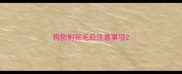 狗狗剃完毛后注意事项