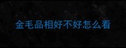 金毛品相好不好怎么看