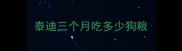 泰迪三个月吃多少狗粮