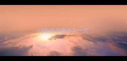 边牧怀孕要多久一次