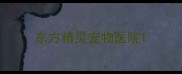 东方精灵宠物医院
