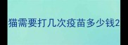 猫需要打几次疫苗多少钱