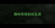 猫咪尿频到处乱尿