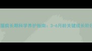 缅因猫疯长期科学养护指南3-6月龄关键成长阶段全