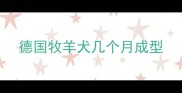 德国牧羊犬几个月成型