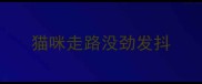 猫咪走路没劲发抖