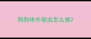 狗狗体外驱虫怎么做