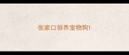 张家口领养宠物狗