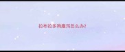 拉布拉多狗腹泻怎么办