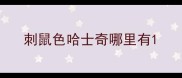 刺鼠色哈士奇哪里有