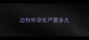 边牧怀孕生产要多久