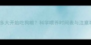 哈士奇多大开始吃狗粮科学喂养时间表与注意事项全