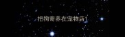把狗寄养在宠物店