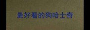 最好看的狗哈士奇
