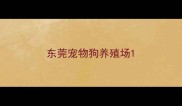 东莞宠物狗养殖场