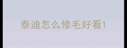 泰迪怎么修毛好看