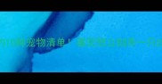 西方人最爱的10种宠物清单看完想立刻养一只的冲动谁懂啊