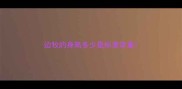 边牧的身高多少是标准体重