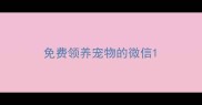 免费领养宠物的微信
