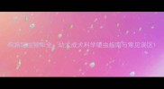 狗狗驱虫频率全幼犬成犬科学驱虫指南与常见误区