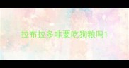 拉布拉多非要吃狗粮吗