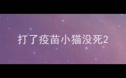 打了疫苗小猫没死
