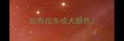 拉布拉多成犬颜色