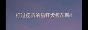 打过疫苗的猫狂犬疫苗吗