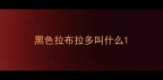 黑色拉布拉多叫什么