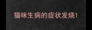 猫咪生病的症状发烧