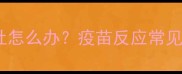 小狗打疫苗后两天呕吐怎么办疫苗反应常见原因及科学应对指南