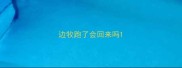边牧跑了会回来吗