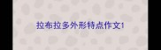拉布拉多外形特点作文